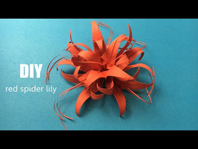 Origami Flowers | How to Make Paper Flowers Red Spider Lily (Equinox Flower) | DIY Paper Craft