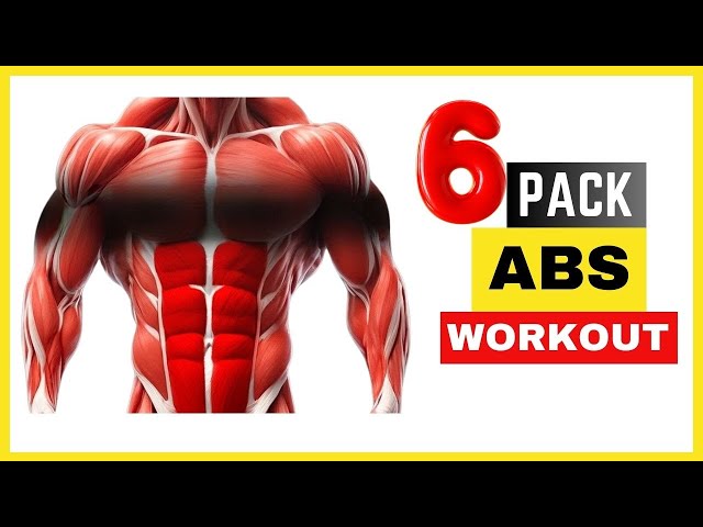 6-Pack Abs Workout for Beginners - No Equipment Needed!