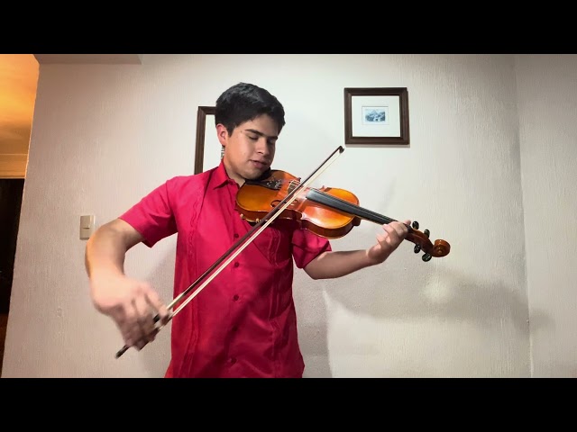 Audition Video Jorge Aguilar-Now we are free (Gladiator Violin Cover)