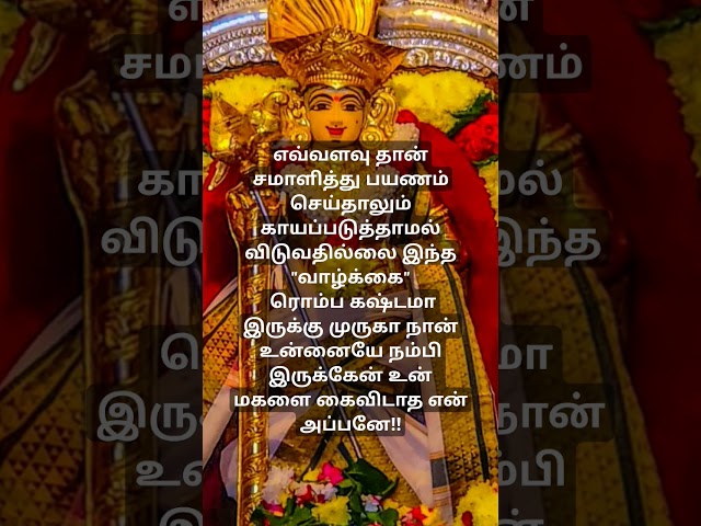 முருகன்வாக்கு🙏#lordmuruga#tamil#hindudeity#tamilkadavul#bakttv #murugangod#கந்தர்#ஆறுபடை #god #song