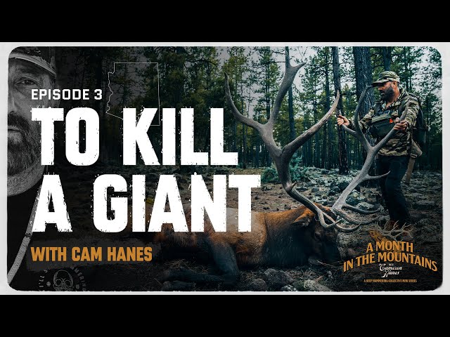 To Kill a Giant