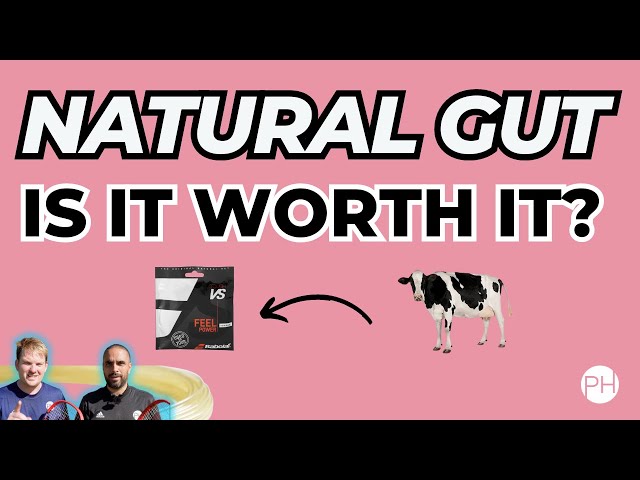 NATURAL GUT TENNIS STRING - IS IT WORTH IT? | Tennis String | Review | PH Tennis