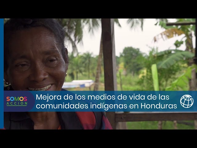 Mejora de los medios de vida de las comunidades indígenas en La Moskitia, Honduras