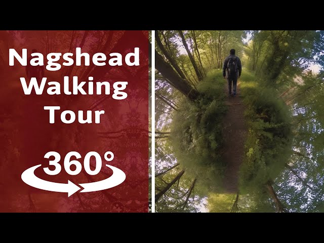 Long Trail around Nagshead