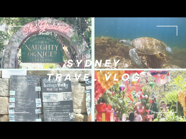 Sydney Travel Vlog 🇦🇺 Manly, Shelly Beach & The Grounds of Alexandria