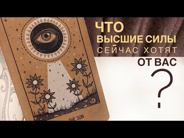 Что высшие силы сейчас хотят от вас?