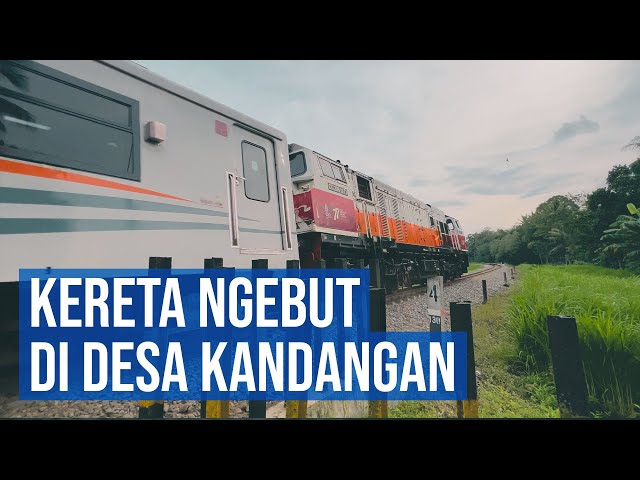 [4K HDR] Kompilasi Kereta Api Ngebut Di Perlintasan Tanpa Pintu Desa Kandangan