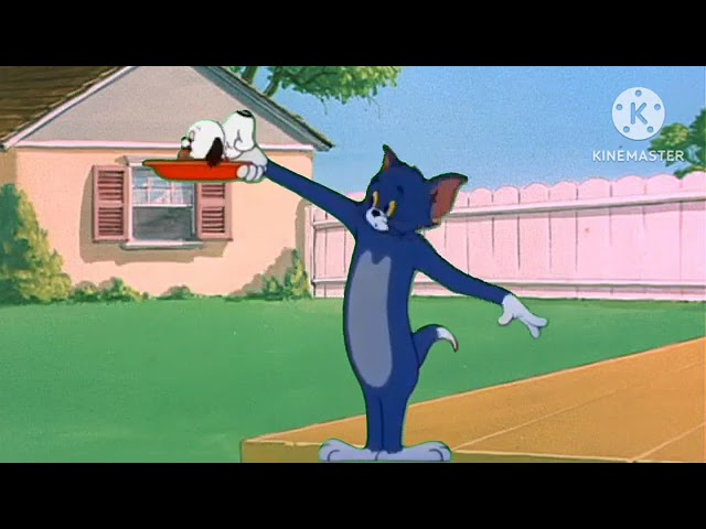 tom and jerry | #funnycartoon  #viralvideo