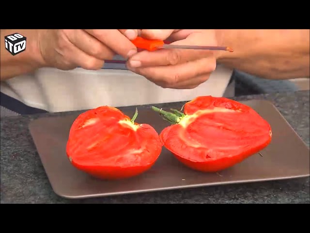 Recupereer je tomatenzaden