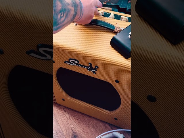 Swart Space Tone Reverb  - TONE !