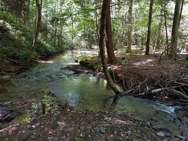 Babbling Brook