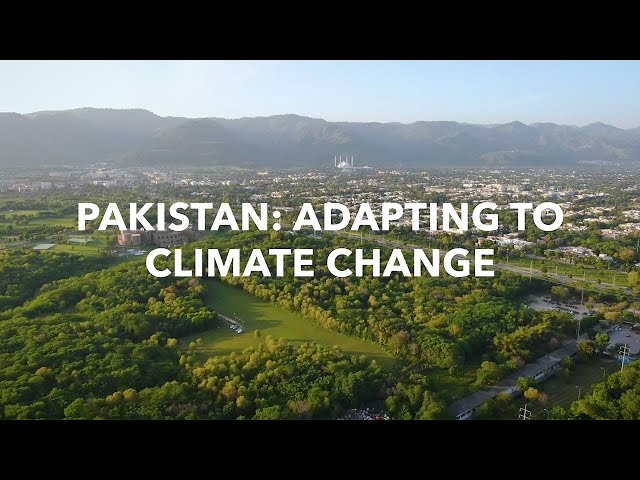 Pakistan Climate 2025 | CM Sindh Syed Murad Ali Shah SPEECH Pakistan Climate Conference 2025