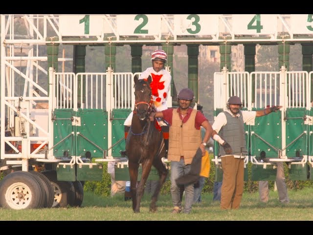 INDIAN DERBY WINNER 2018 - ROCHESTER