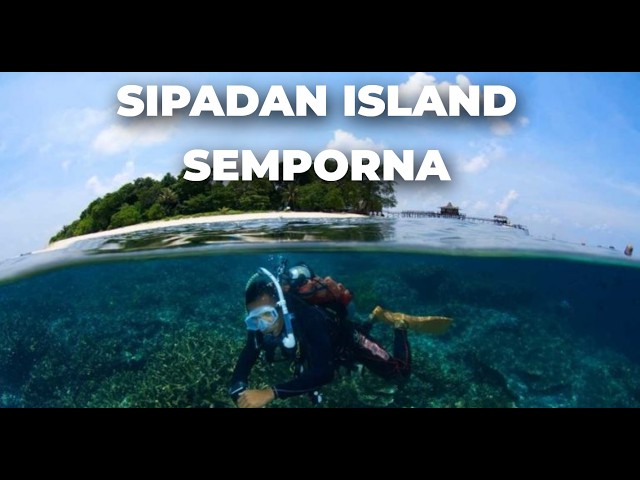 The HIDDEN Gem of Malaysia? Sipadan Island Secrets