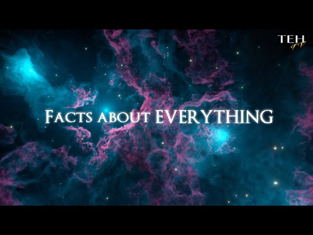 Interesting Facts About EVERYTHING!