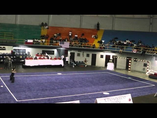 10th Pan American Wushu Championships Men's Changquan - 3rd Set - Rolando Lee (Gold)