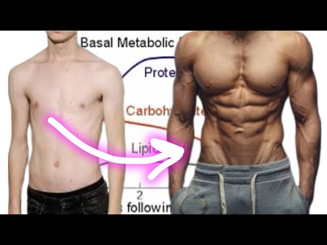 Best Workout Plan to Build Muscle | For Complete Beginners