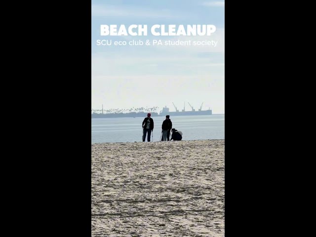 Beach Cleanup!