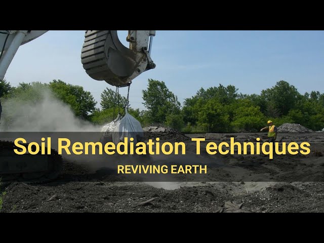 Reviving Earth: 11 Soil Remediation Techniques for a Cleaner Planet