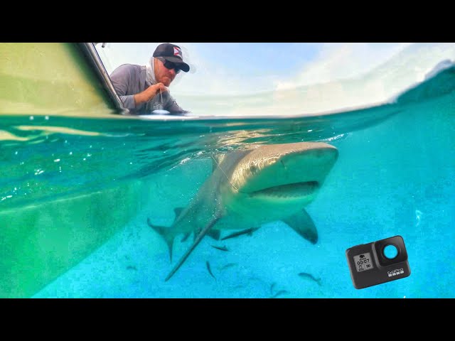 GoPro Fell In Shark Infested Waters! (Rescued By a Girl)