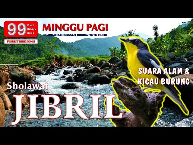 SHOLAWAT JIBRIL SUARA ALAM & KICAU BURUNG MERDU | MINGGU PAGI