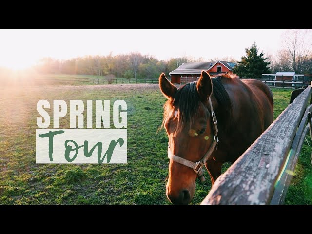 FULL Farm Tour | Garden, Orchard, Animals, & More