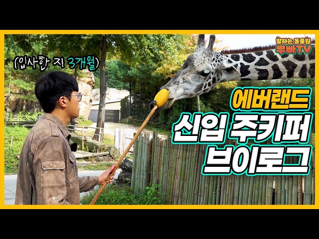 Introduced by a 3-month-old rookie zookeeper, everything in Lost Valley!│Everland Lost Valley