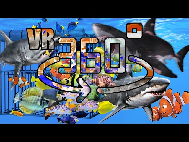 DEEP SEA MONSTERS 360° Virtual Reality #vr360 #MVR360 #360 #virtualreality #sea #seacreatures