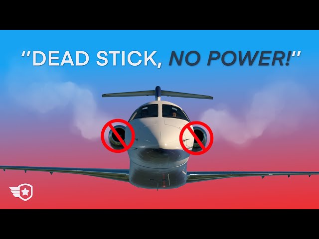 Passenger Causes DUAL ENGINE FAILURE | Accident Case Study