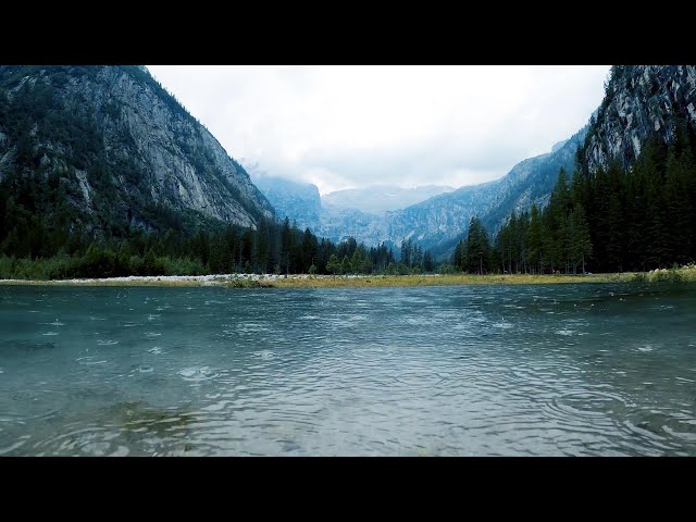 The Serenity of Rain & River Sounds | Relaxing Nature Ambience