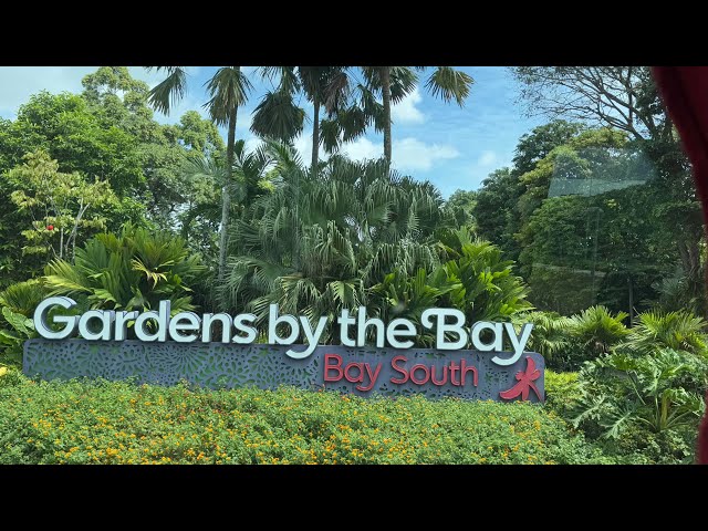 #Gardens by the Bay#Supertree Grove#Singapore City Tour#singapore#singaporecitytour#tourist#garden#