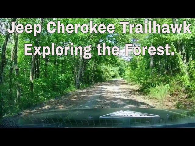 Jeep Cherokee Trailhawk Exploring Forest  Roads -3