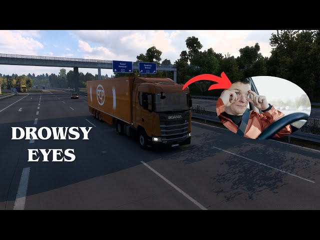 Euro Truck Simulator 2 | Will I Crash or Survive?