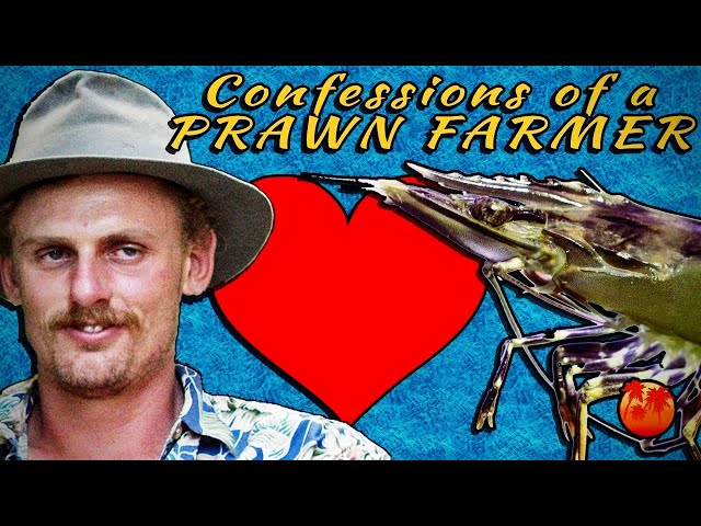 Confessions of a Prawn Farmer