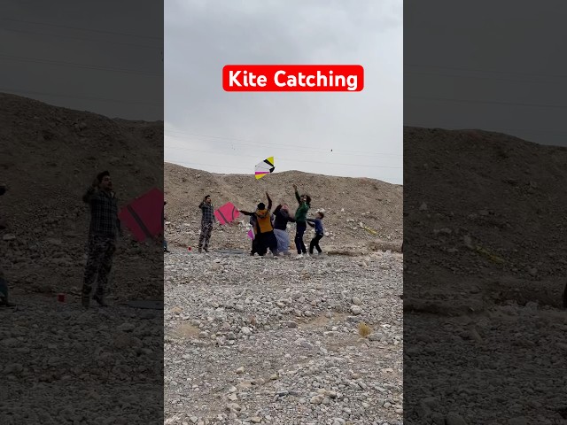 Basant pr gudy loty🙉😹 #short #kiteflying #youtubeshorts