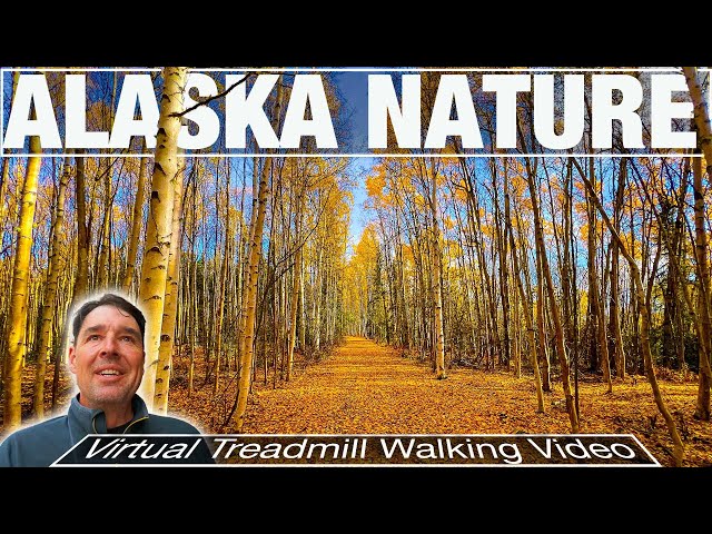 Experience the MOST BREATHTAKING Hike on Skyridge Nature Trail! - City Walks 4k