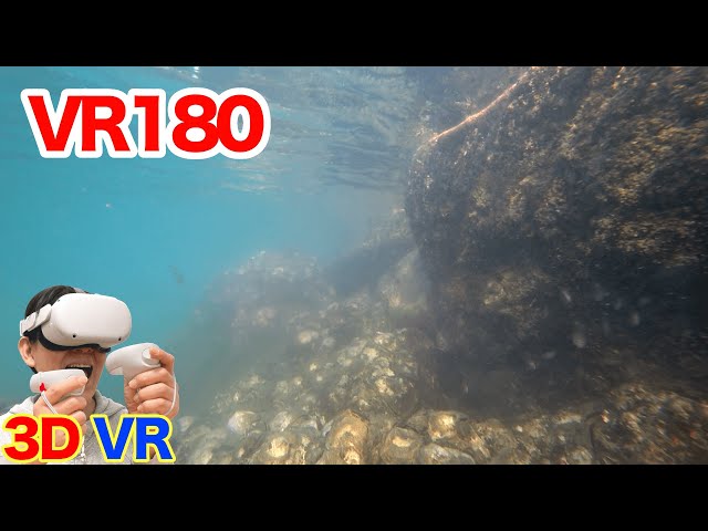 [VR180] Underwater VR Video / 3D video in VR180 format