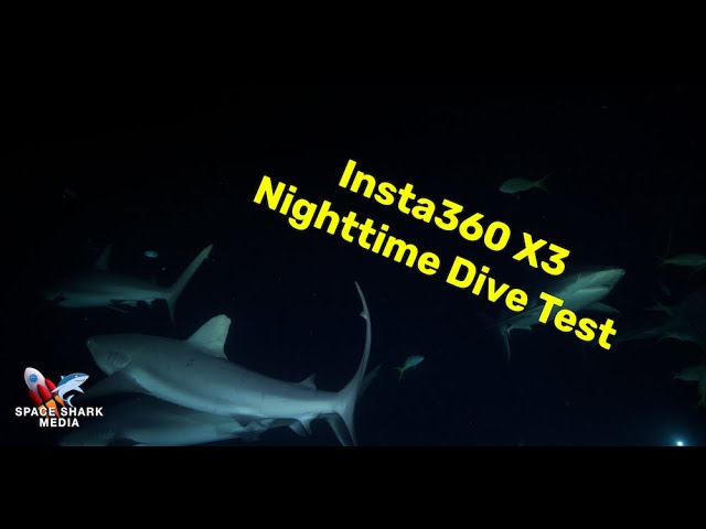 Night Dive Bahamas #360 #shark #sharks #sharkweek #insta360x3 #ocean #adventure #nature #VR