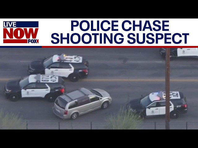 Police chase: Driver, dog in minivan lead police on slow-moving chase in CA | LiveNOW from FOX