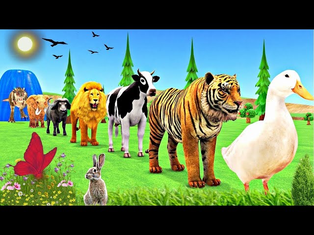 Long Slide Game With Elephant Gorilla Buffalo Hippopotamus Tiger - 3d Animal Game - Funny Animals