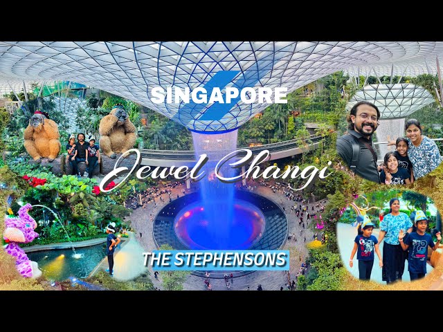 World’s largest indoor waterfall Rain Vortex | Jewel Changi Airport | Singapore ✈️