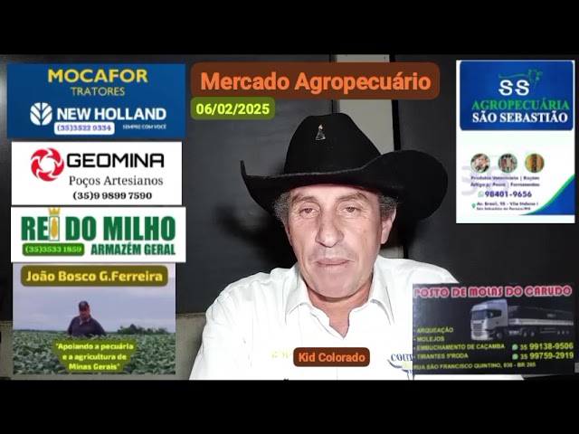 Mercado Agropecuário 06/02/2025 (Obs: Os preços são atualizados todos os dias pelo CEPEA)