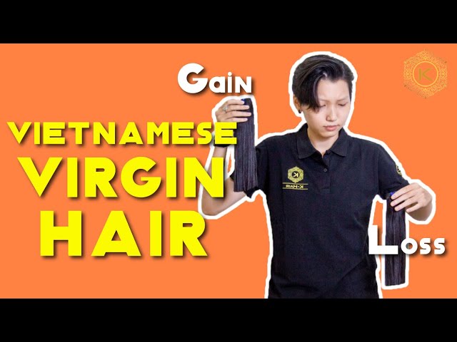 Vietnamese Virgin Hair: GAIN or LOSS || Hair extensions knowledge - K-HAIR FACTORY BEST VIETNAM HAIR