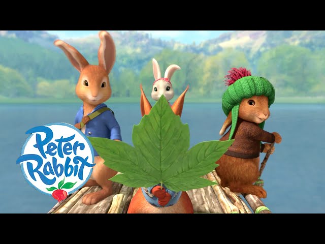 Peter Rabbit - Camping by the Lake | Cartoons for Kids