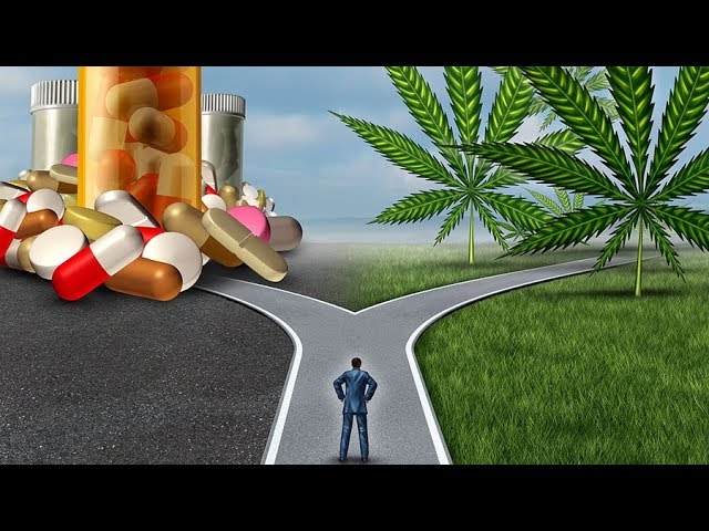 Florida and Marijuana: Drug or Medicine?