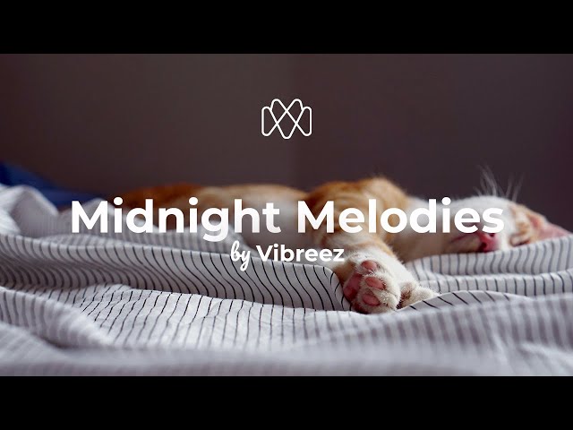 Vibreez - Midnight Melodies