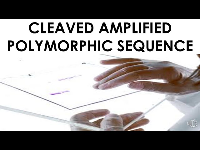 CLEAVED AMPLIFIED POLYMORPHIC SEQUENCE