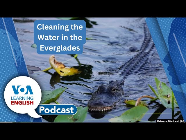 Saving the Everglades, Microcredentials, Usual and unusual