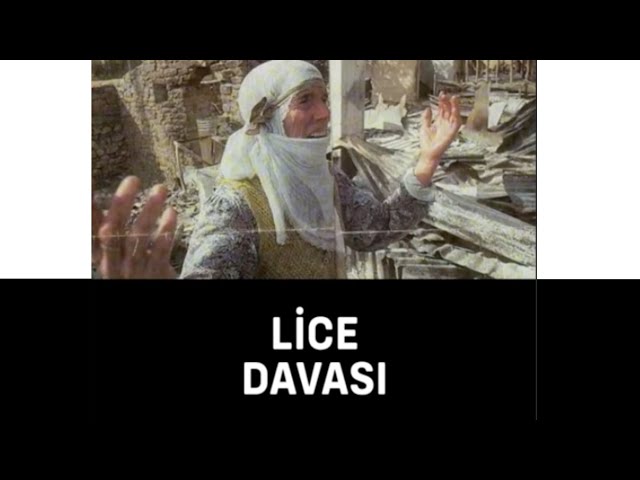 Lice Davası