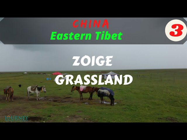 CHINA-Eastern Tibet: Zoige Grassland